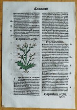 Post incunable foglia usato  Spedire a Italy