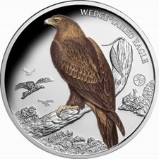 Niue 2025 WEDGE-TAILED EAGLE John Gould Birds Austrália $1 Oz cor prata OGP comprar usado  Enviando para Brazil