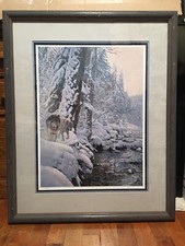Terry isaac litho for sale  Salem