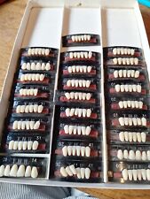 Teeth selection human for sale  ROSSENDALE