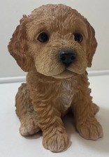 Golden labrador puppy for sale  UK