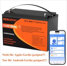 Lifepo4 100ah 12v gebraucht kaufen  Deutschland