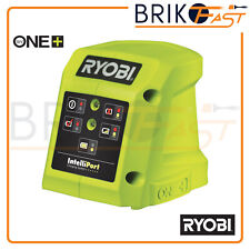 Ryobi caricabatterie compatto usato  Brancaleone