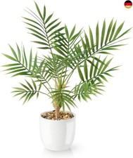 Pasch kunstpalme areca gebraucht kaufen  Berlin