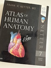 Atlas of Human Anatomy 7th Edition Ed. Frank Netter good condition paperback comprar usado  Enviando para Brazil