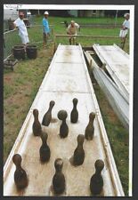 2002 vallet craft d'occasion  Expédié en Belgium