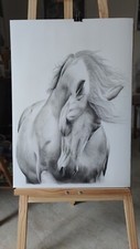 Quadro cavallo disegnato usato  Francavilla Fontana
