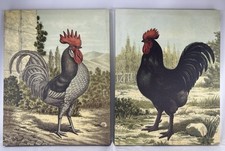 Farmhouse style rooster for sale  Cary