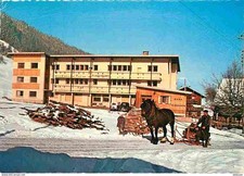 Animaux chevaux morzine d'occasion  Fruges