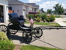 Horse drawn buggy for sale  Cornelius