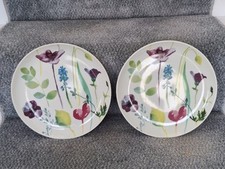 Portmeirion water garden for sale  THORNTON-CLEVELEYS