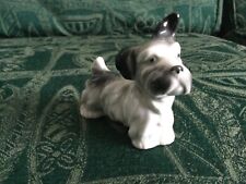 Vintage sealyham terrier for sale  NAIRN