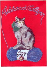 Vertuel lana gatto usato  Italia