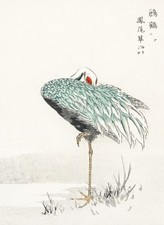 Plakat 40x55cm White-naped Crane, Kashu Vintage do Salonu na sprzedaż  PL
