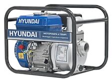 Motopompa irrigazione hyundai usato  Prato