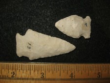 Alliance ohio prehistoric for sale  Canyon Lake