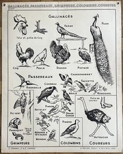 Old hatier science d'occasion  Expédié en Belgium