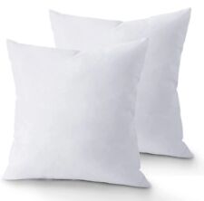 inserts throw pillow 1 for sale inserts throw pillow 1 for sale Brentwood