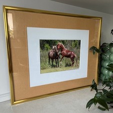 Framed photograph print for sale  Winston Salem