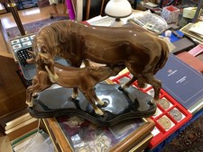 Cacciapuoti cavalli usato  Varese
