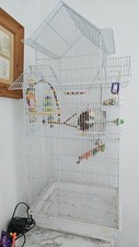 Large metal birdcage for sale  EXETER