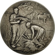 Médaille syndicat agricole d'occasion  Lille-