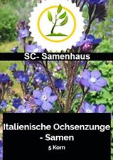 Italienische chsenzunge anchus gebraucht kaufen  Schwabach