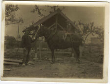 Antique photo vintage d'occasion  Expédié en Belgium