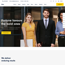 Corporate website design for sale  Elmhurst
