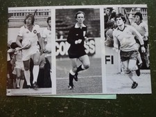 Referee captain cup for sale Referee captain cup for sale  ENFIELD