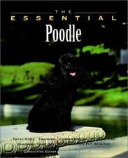 Essential poodle for sale  Boston