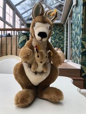 Kango kangaroo baby for sale  HARTLEPOOL