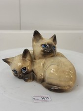 Lovely beswick kittens for sale  NORWICH