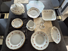 Teiliges essservice porzellan gebraucht kaufen  Ingolstadt