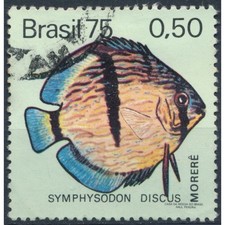 Freshwater fishes discus for sale  UK