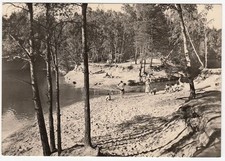 Dübener heide friedrichsee gebraucht kaufen  Eilenburg