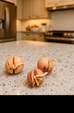 Pack organic avocado for sale  Huntington Beach
