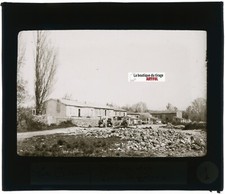 Haras poulagères crau d'occasion  Grenade