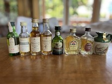 Whisky miniaturflaschen gebraucht kaufen  Eilenburg