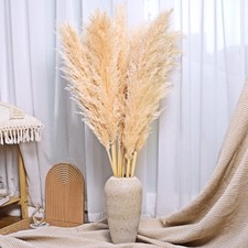 Large luxury fluffy for sale  SHEFFIELD