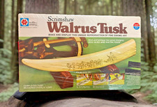 Scrimshaw walrus tusk for sale  Thonotosassa