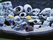 Aquarium fish tank for sale  BARNET