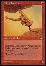 Mogg fanatic tempest for sale  CANTERBURY