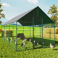 Xxl metal chicken for sale  LOUGHBOROUGH