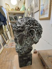 Testa ulisse argilla usato  Colli al Metauro