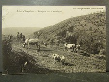 Cpa scenes champetres d'occasion  Craponne