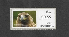 Golden eagle birds for sale  MONTGOMERY