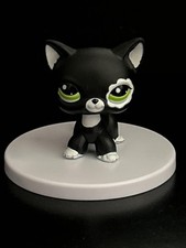 Littlest petshop 2249 d'occasion  Moreuil