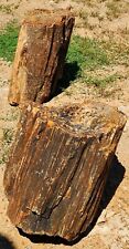 Nice large logs for sale  Tucson