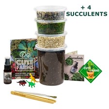 Diy large terrarium for sale  Sparks